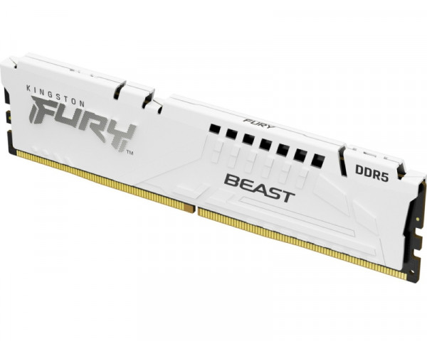 KINGSTON DIMM DDR5 16GB 5600MTs KF556C36BWE-16 Fury Beast White Expo 