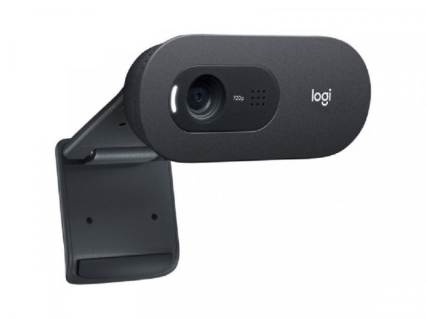 LOGITECH C505E WEBCAM - WW 960-001372