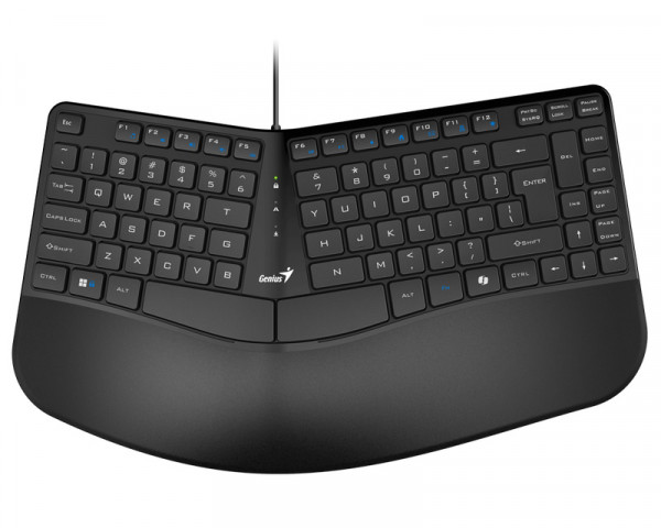 GENIUS Ergo KB-700 USB YU crna tastatura 