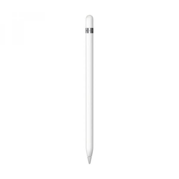 Apple Pencil ( 1st gen ) ( 2022 )