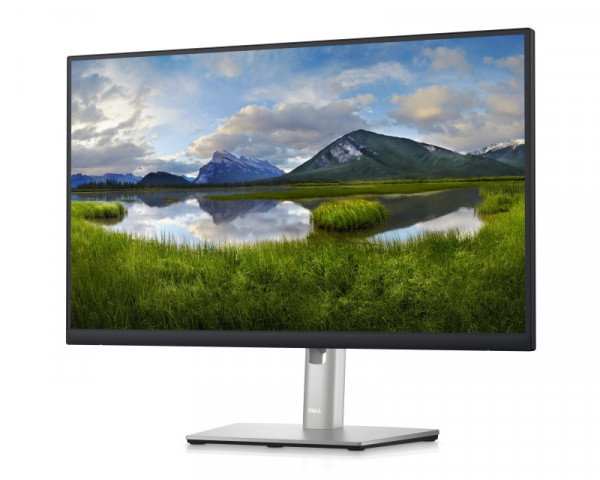 DELL OEM 23.8 inch P2422H Professional IPS monitor 