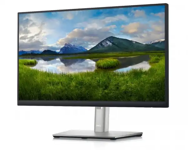 DELL 21.5'' P2222H Professional IPS monitor