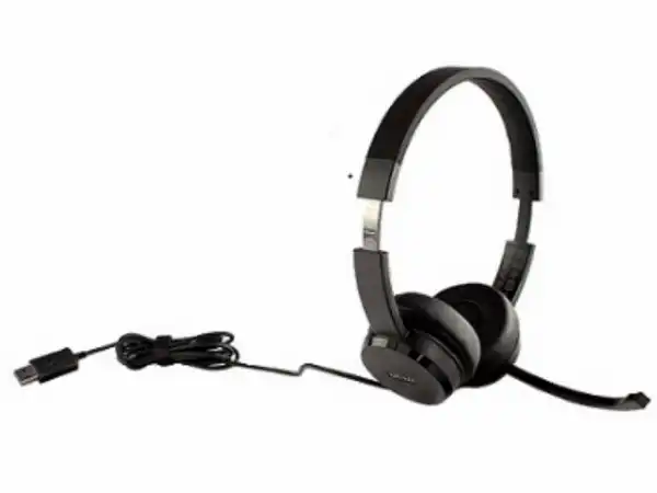 Slušalice LENOVO 100 Stereo/USB/pasive noise cancellation/4XD0X88524/crna